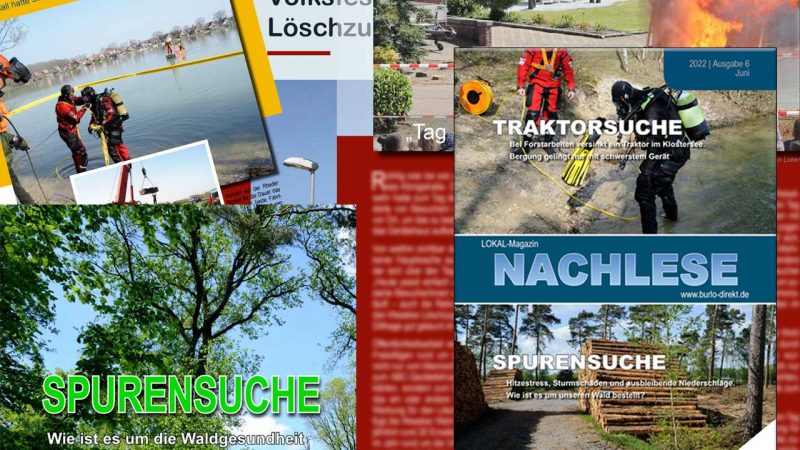 Sommer-Ausgabe der BD-NACHLESE in Vorbereitung