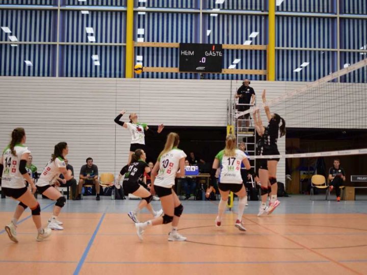 Skurios Volleys – Starke Mannschaftsleistung führt zum Sieg